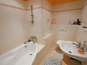 Prodej bytu 1+kk, Planá, Bohušova, 30 m2