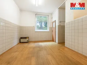 Pronájem výrobních prostor, Domažlice - Bezděkovské Předměstí, Masarykova, 770 m2