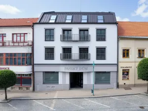 Prodej bytu 1+kk, Bystřice nad Pernštejnem, Masarykovo náměstí, 41 m2