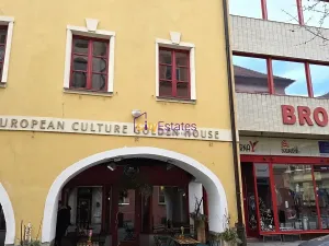 Pronájem bytu 1+1, České Budějovice, Dr. Stejskala, 59 m2