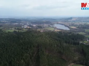 Prodej lesa, Mrákotín, 7873 m2