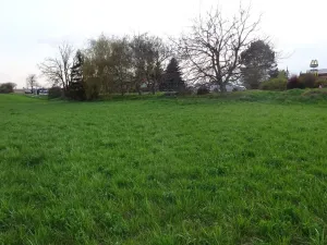 Prodej komerčního pozemku, Stránecká Zhoř - Kochánov, 2295 m2