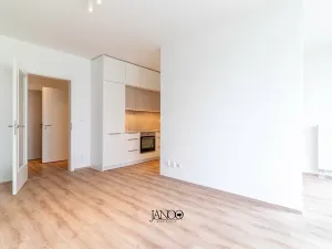 Pronájem bytu 1+1, Brno, Spolková, 38 m2