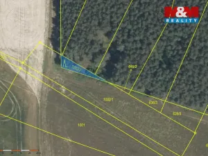 Prodej lesa, Mochov, 4629 m2