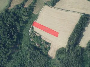 Prodej pole, Stříbrná Skalice, 2877 m2