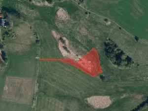 Prodej louky, Herálec, 7771 m2