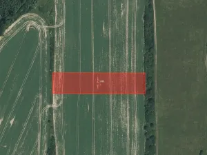 Prodej louky, Žákava, 6145 m2