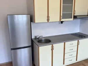 Pronájem bytu 1+kk, Praha - Nusle, Na Pankráci, 33 m2