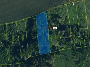 Dražba lesa, Chotěbudice, 2054 m2