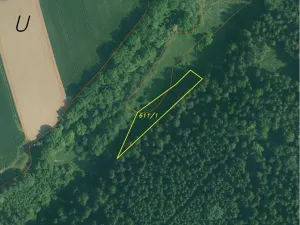 Dražba louky, Hluboká nad Vltavou, 3163 m2