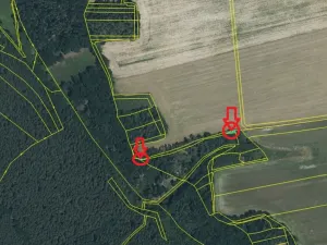 Prodej podílu lesa, Puclice, 12856 m2