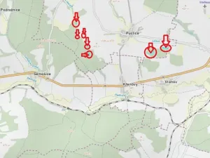 Prodej podílu lesa, Puclice, 12856 m2