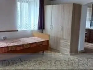 Pronájem bytu 1+kk, Žitenice, 42 m2