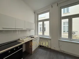 Pronájem bytu 1+kk, Teplice, Krupská, 30 m2