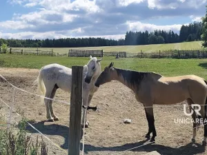 Prodej rodinného domu, Kamenná Horka, 273 m2