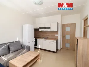 Prodej bytu 1+1, Chodov, U Porcelánky, 36 m2