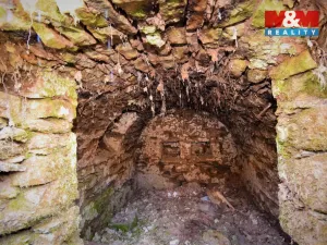 Prodej louky, Bartošovice v Orlických horách, 1153 m2