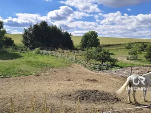 Prodej rodinného domu, Kamenná Horka, 273 m2