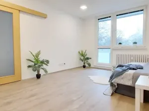 Pronájem bytu 1+1, Brno, Fričova, 46 m2