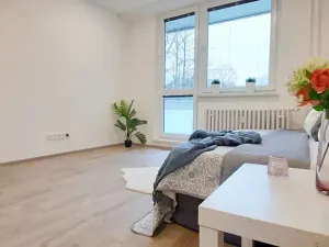 Pronájem bytu 1+1, Brno, Fričova, 46 m2