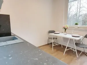 Pronájem bytu 1+1, Brno, Fričova, 46 m2