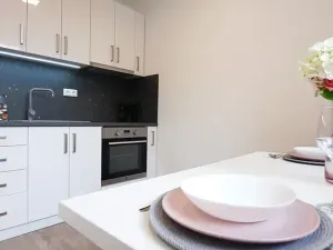 Pronájem bytu 1+1, Brno, Fričova, 46 m2