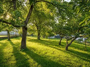 Prodej rodinného domu, Nové Bránice, 177 m2