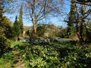 Prodej pozemku, Lhota, 3645 m2