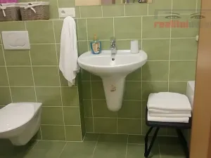 Prodej bytu 1+kk, Říčky v Orlických horách, 55 m2