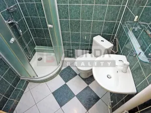 Pronájem bytu 2+kk, Neratovice, 28 m2