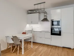 Pronájem bytu 2+kk, Praha - Žižkov, Kunešova, 65 m2