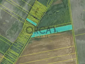 Prodej pole, Podivín, 2403 m2