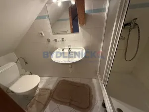 Pronájem vícegeneračního domu, Slavče, 333 m2