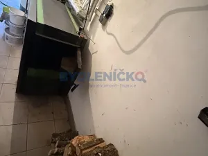Pronájem vícegeneračního domu, Slavče, 333 m2