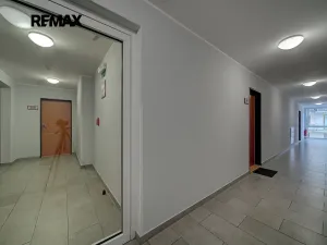 Pronájem bytu 1+kk, Poděbrady, Čechova, 28 m2