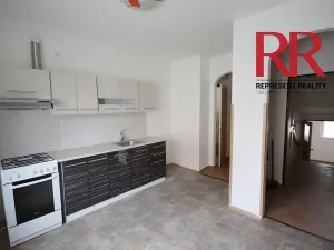 Pronájem obchodního prostoru, Plzeň, Mezi Ploty, 160 m2