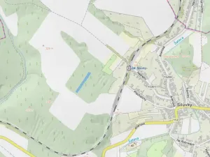 Prodej lesa, Silůvky, 2829 m2