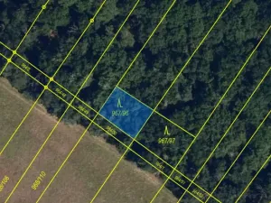 Prodej lesa, Silůvky, 174 m2