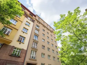 Prodej bytu 4+kk, Brno, Čápkova, 140 m2