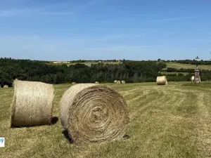 Prodej chaty, Tišnov, 25 m2