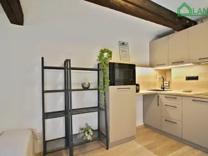 Pronájem bytu 1+kk, Brno, Francouzská, 32 m2