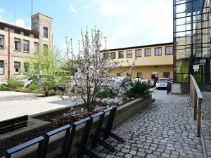 Pronájem ordinace, Hradec Králové, Pospíšilova, 49 m2