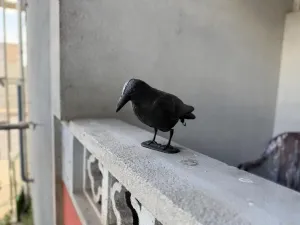 Pronájem bytu 3+1, Brno - Staré Brno, Poříčí, 81 m2