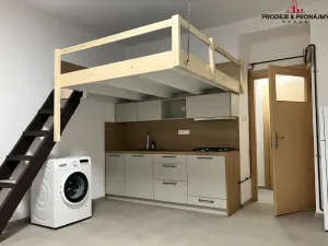 Prodej bytu 1+kk, Praha - Žižkov, V domově, 24 m2