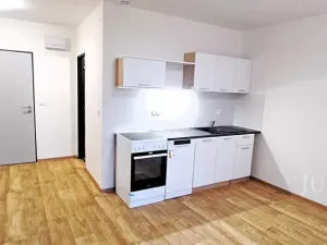 Pronájem bytu 1+kk, Čížová, 25 m2