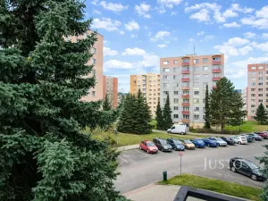 Prodej bytu 1+1, Písek, třída Přátelství, 38 m2