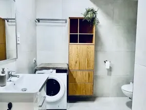 Pronájem bytu 1+kk, Praha - Vysočany, Gerstelova, 41 m2