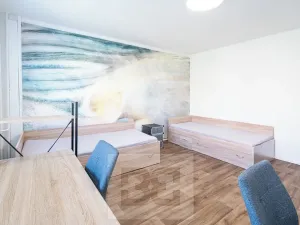 Pronájem bytu 3+1, Hradec Králové, Markovická, 63 m2