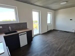 Pronájem bytu 2+kk, Kladno, Vrchlického, 56 m2