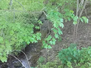 Prodej pozemku pro bydlení, Meziměstí, 2212 m2